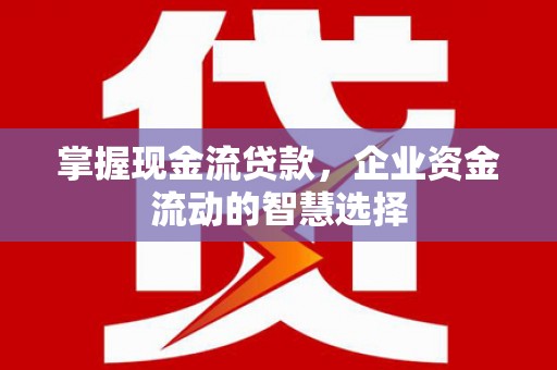 额敏掌握现金流贷款，企业资金流动的智慧选择