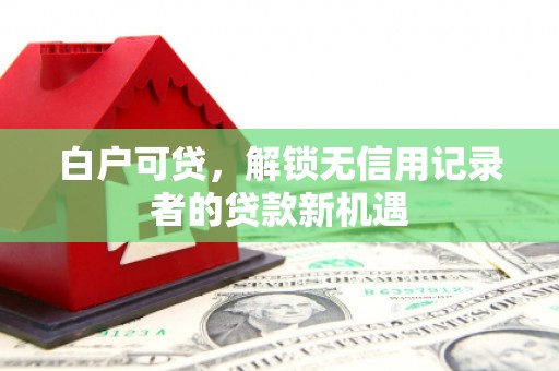 名山白户可贷，解锁无信用记录者的贷款新机遇