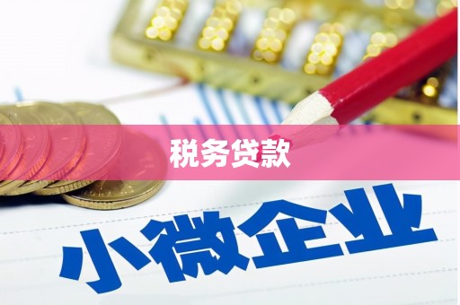 通江税务贷款