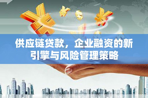 沙鹿供应链贷款，企业融资的新引擎与风险管理策略