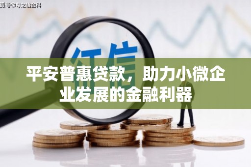 英德平安普惠贷款，助力小微企业发展的金融利器