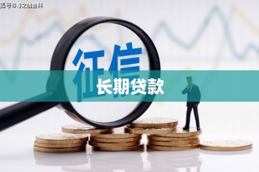 岱岳长期贷款