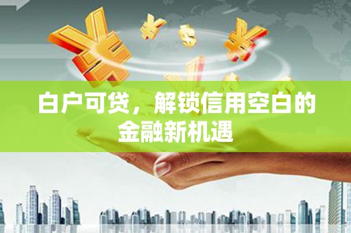 阜新白户可贷，解锁信用空白的金融新机遇