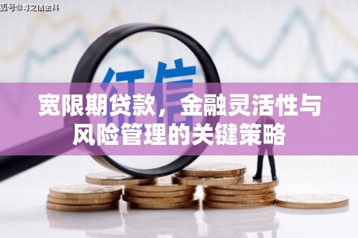 峨边宽限期贷款，金融灵活性与风险管理的关键策略