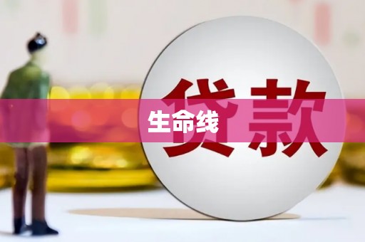东乡族生命线