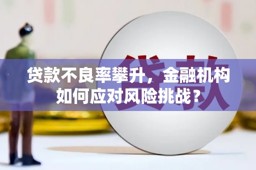 埤头贷款不良率攀升，金融机构如何应对风险挑战？