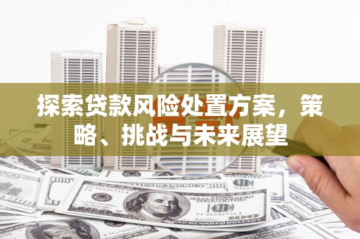 通州探索贷款风险处置方案，策略、挑战与未来展望