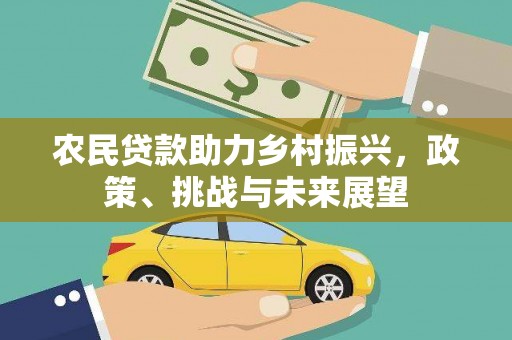 金湖农民贷款助力乡村振兴，政策、挑战与未来展望