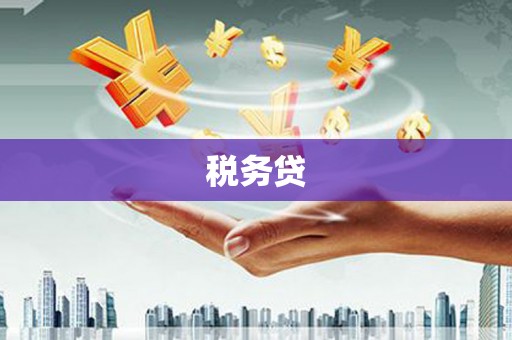 湖南税务贷
