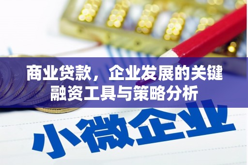 临沭商业贷款，企业发展的关键融资工具与策略分析