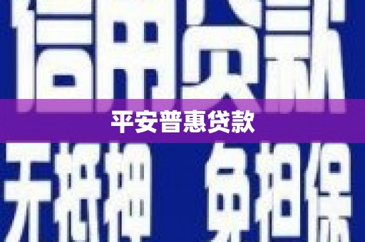 新沂平安普惠贷款