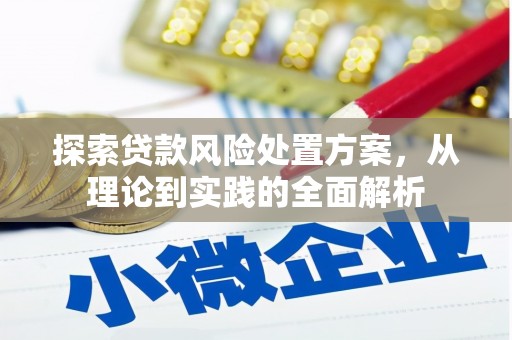 潮安探索贷款风险处置方案，从理论到实践的全面解析