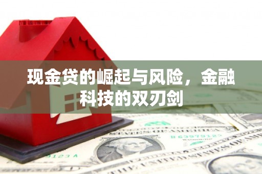 瑞芳现金贷的崛起与风险，金融科技的双刃剑