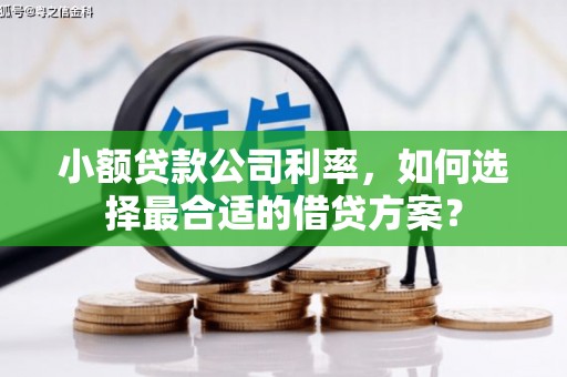 永清小额贷款公司利率，如何选择最合适的借贷方案？