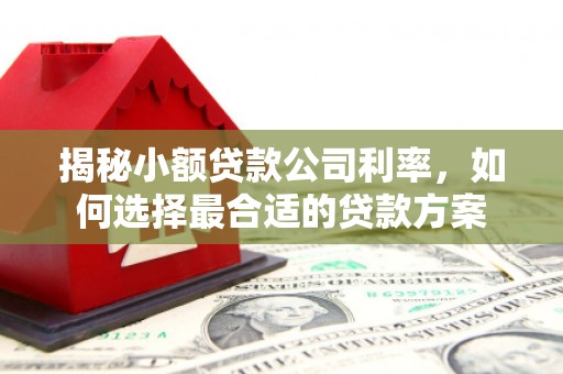 新华揭秘小额贷款公司利率，如何选择最合适的贷款方案