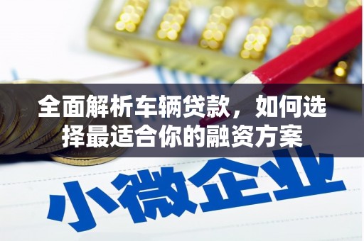 海安全面解析车辆贷款，如何选择最适合你的融资方案