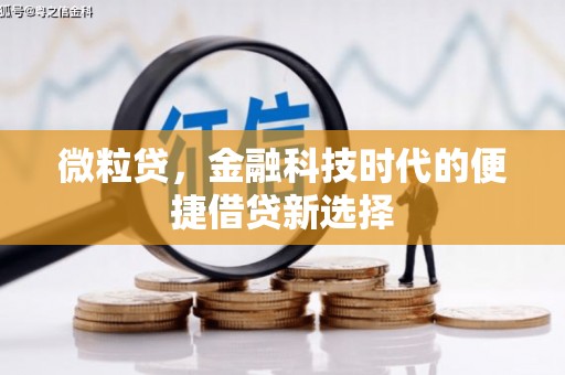 福建微粒贷，金融科技时代的便捷借贷新选择