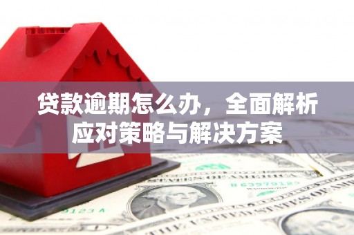 枝江贷款逾期怎么办，全面解析应对策略与解决方案