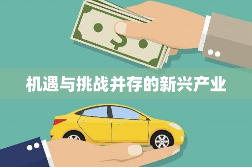 康县机遇与挑战并存的新兴产业