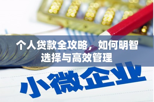 田家庵个人贷款全攻略，如何明智选择与高效管理
