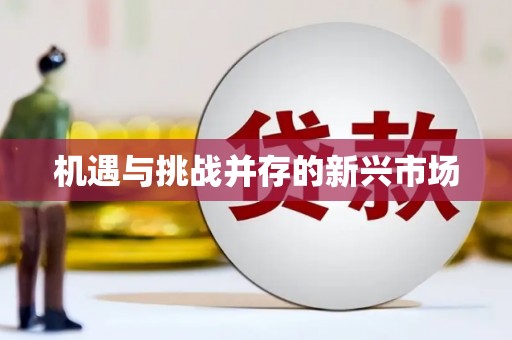 从江机遇与挑战并存的新兴市场