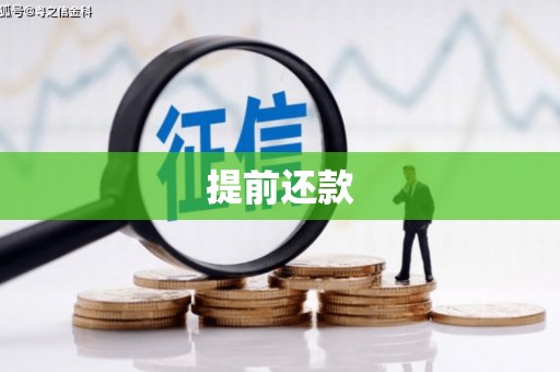 太和提前还款