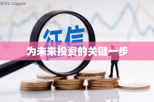麦寮为未来投资的关键一步