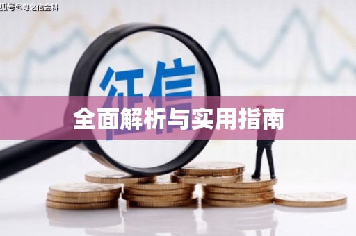 荔城全面解析与实用指南