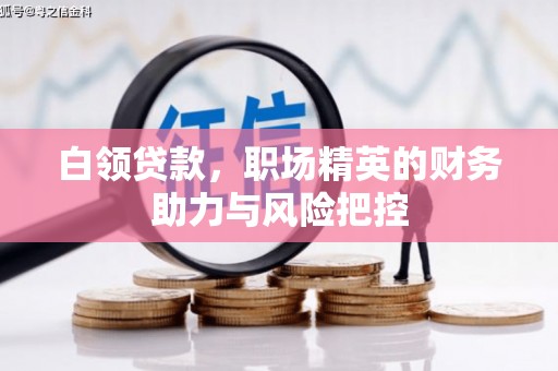 大兴安岭白领贷款,职场精英的财务助力与风险把控 大兴安岭白领贷款,职场精英的财务助力与风险把控