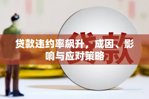 嘉禾贷款违约率飙升，成因、影响与应对策略